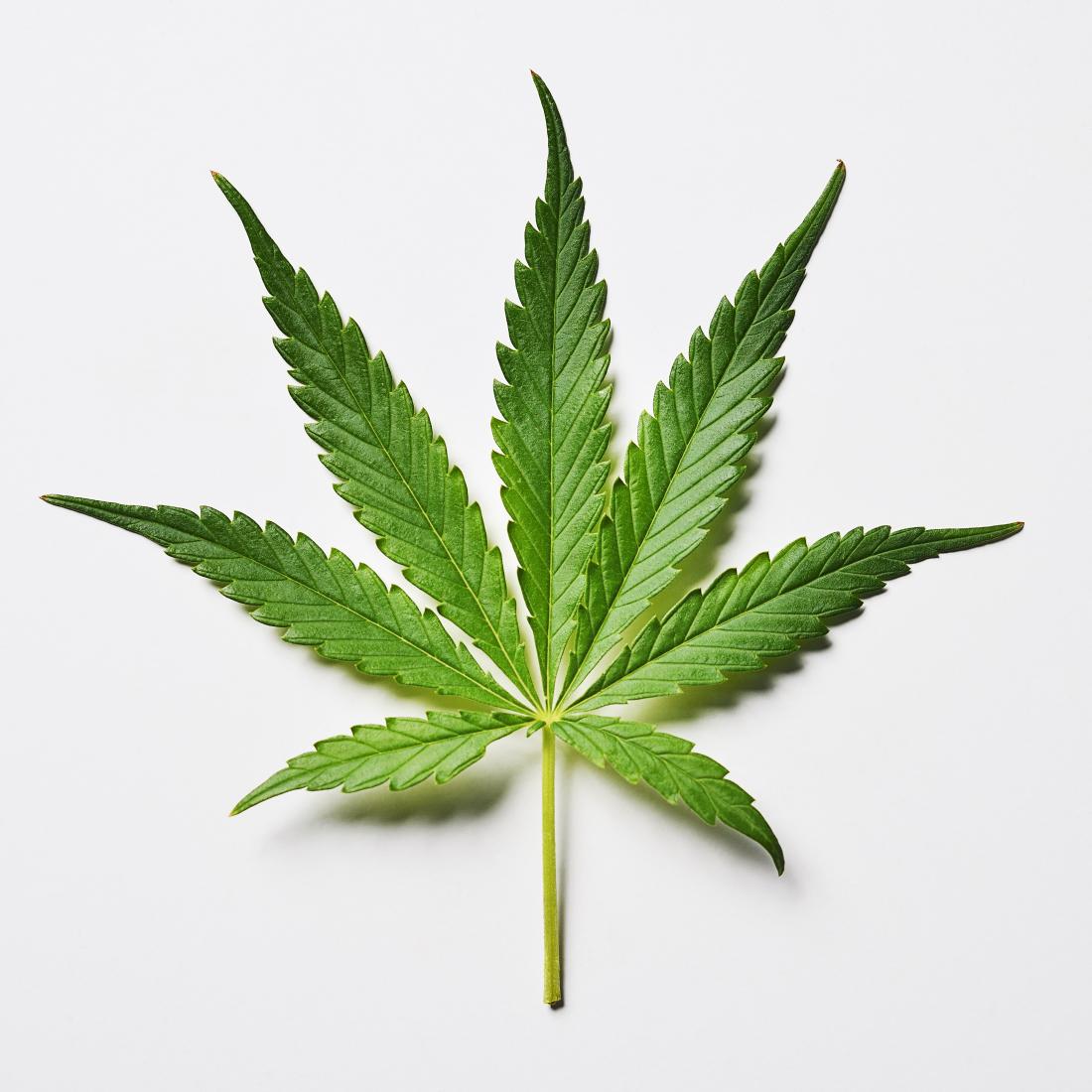 marijuana-leaf